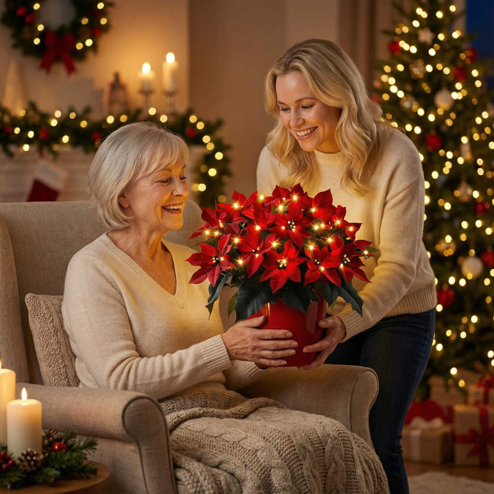 Kerstster Robijn Stralend