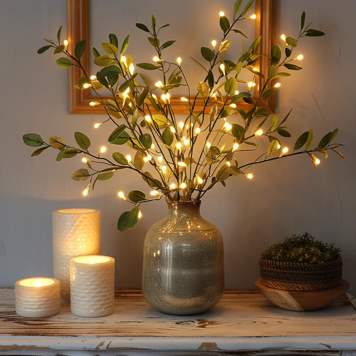 Lumière Fée Vigne Olive